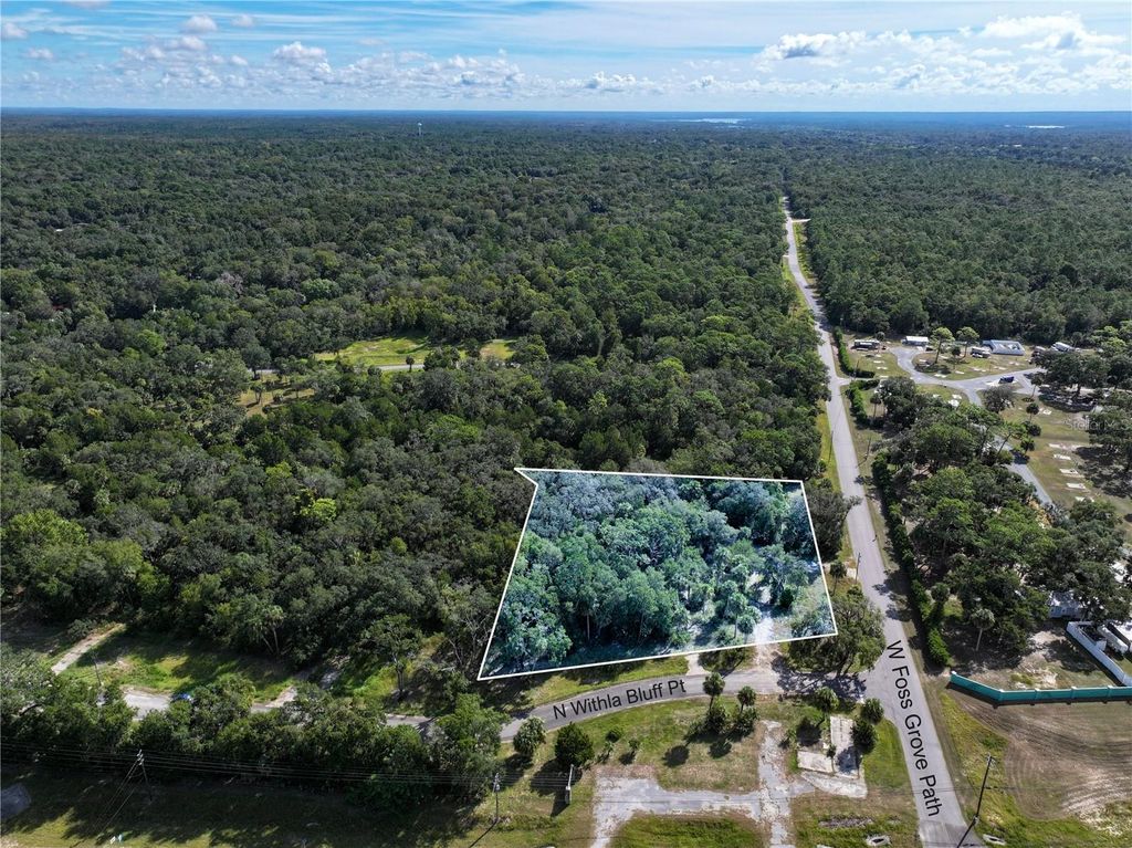Photo of 11009 N Withla Bluff Point, Inglis, FL 34449 (MLS # A4667577)