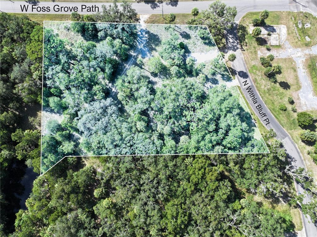 Photo of 11009 N Withla Bluff Point, Inglis, FL 34449 (MLS # A4667577)