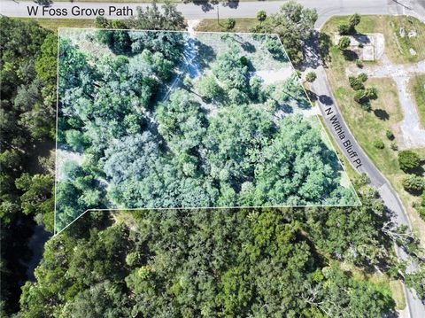 11009 N WITHLA BLUFF POINT INGLIS FL 34449