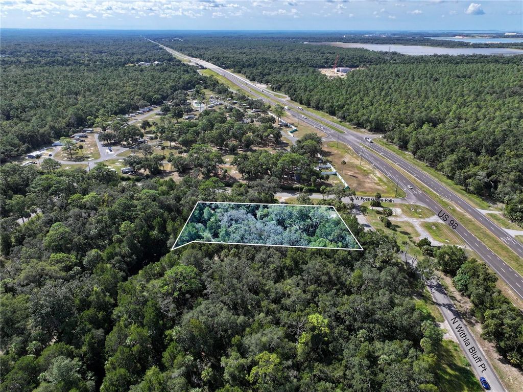 Photo of 11009 N Withla Bluff Point, Inglis, FL 34449 (MLS # A4667577)