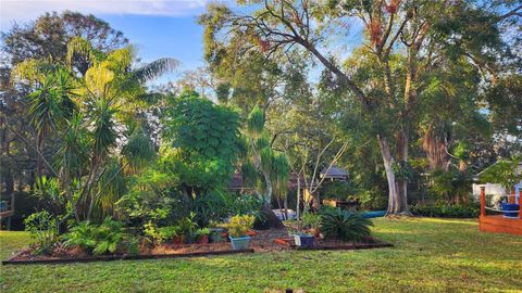 A home in TARPON SPRINGS