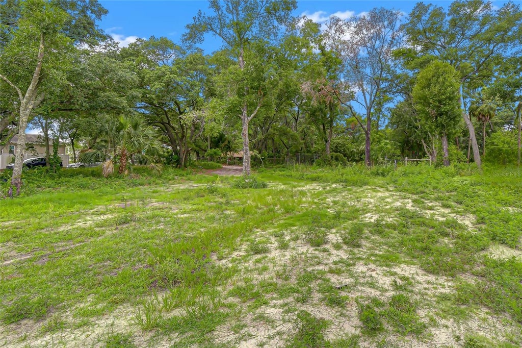 Photo of 6806 New York Drive #Lot A, Tampa, FL 33619 (MLS # TB8548000)