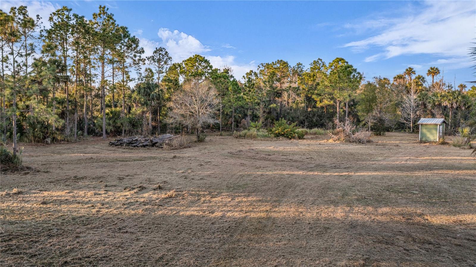 OSCEOLA BLUFF SOUTH 5 ACRE DEVELOPMENT 86 PARCELS - Land