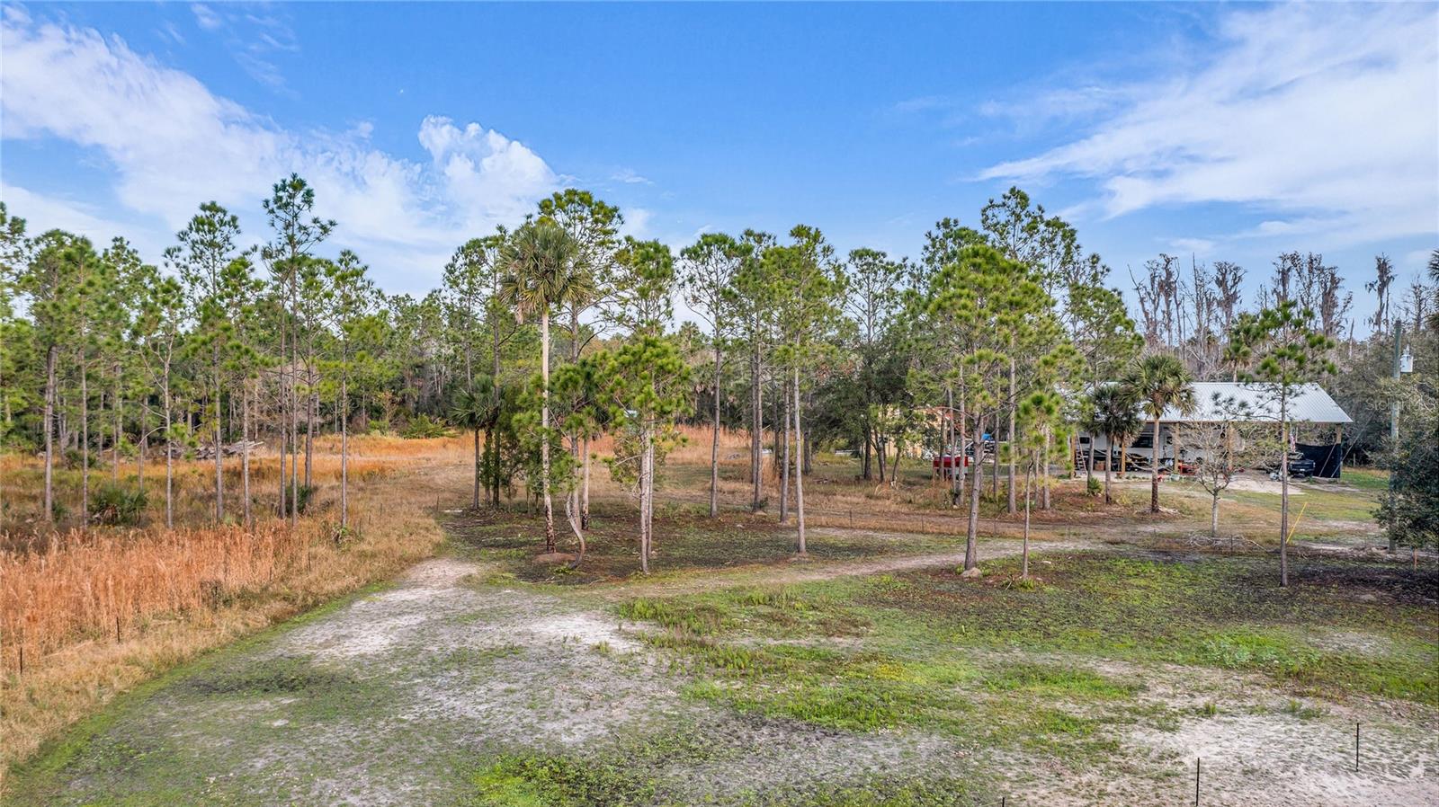 OSCEOLA BLUFF SOUTH 5 ACRE DEVELOPMENT 86 PARCELS - Land