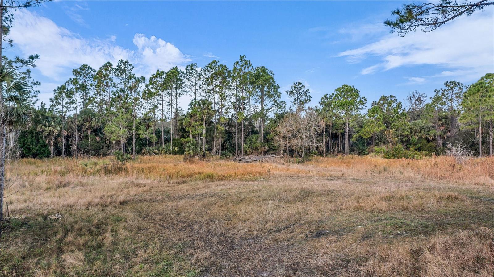 OSCEOLA BLUFF SOUTH 5 ACRE DEVELOPMENT 86 PARCELS - Land