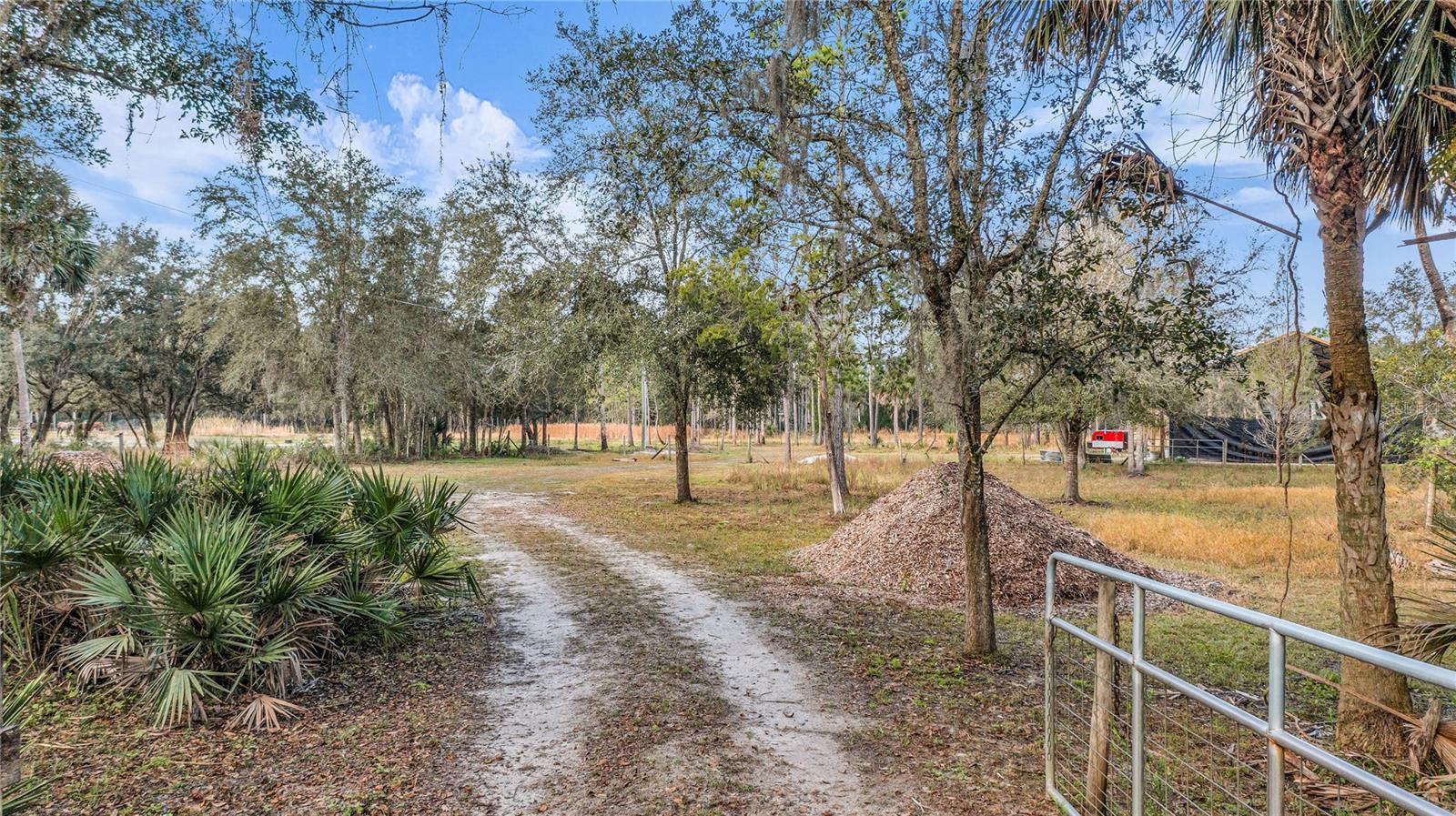 OSCEOLA BLUFF SOUTH 5 ACRE DEVELOPMENT 86 PARCELS - Land