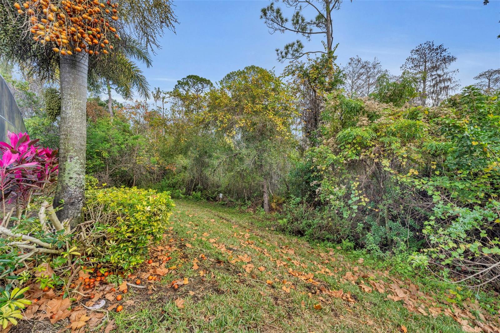 LAKE HANCOCK PRESERVE - Residential