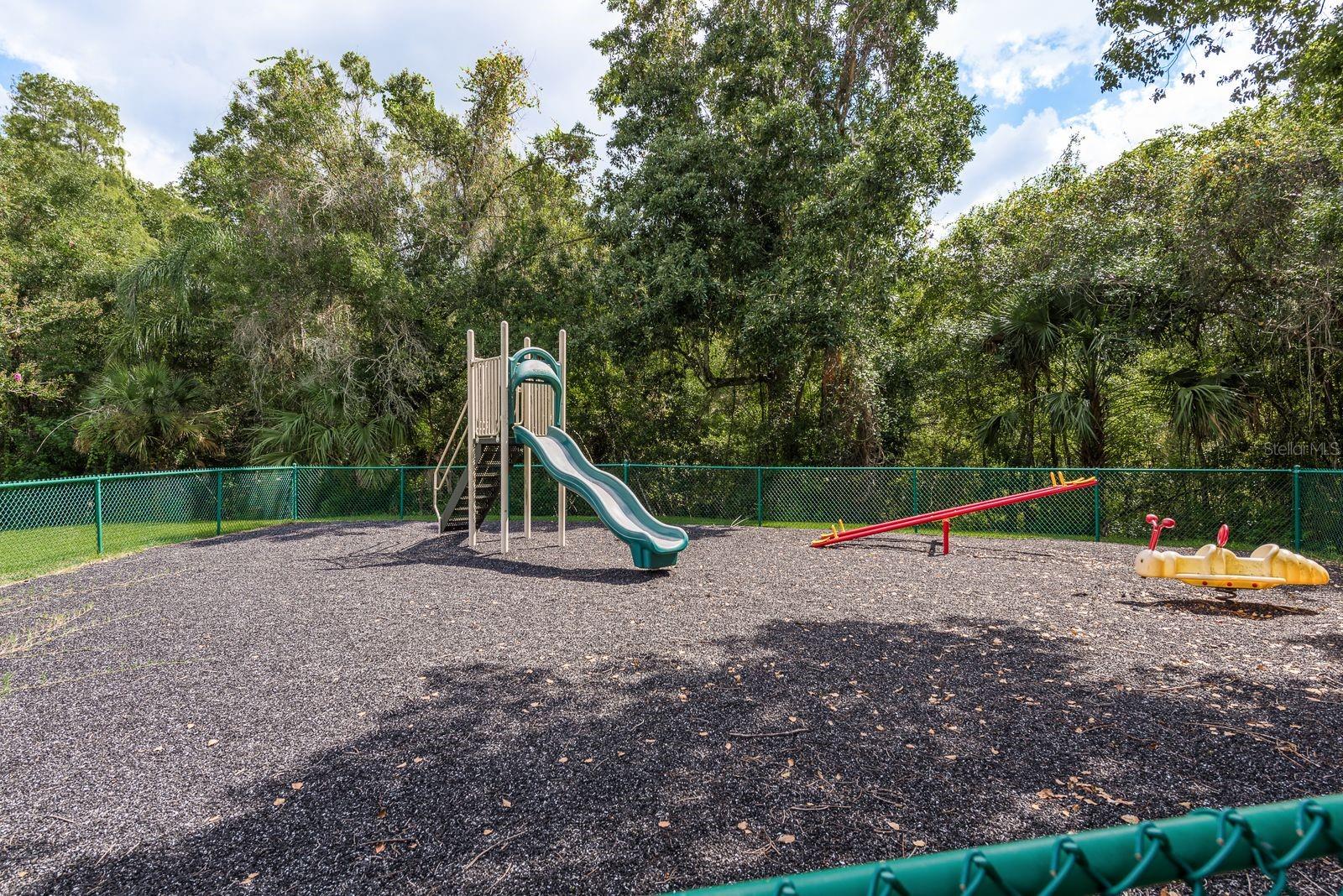 PINE RIDGE AT LAKE TARPON VILLAGE - Residential