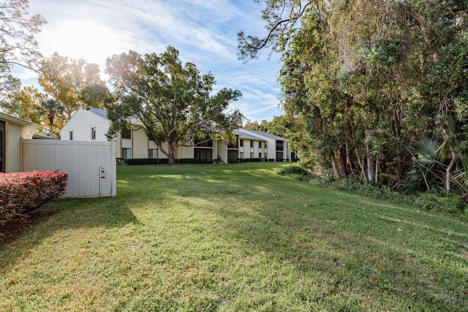 PINE RIDGE AT LAKE TARPON VILLAGE - Residential