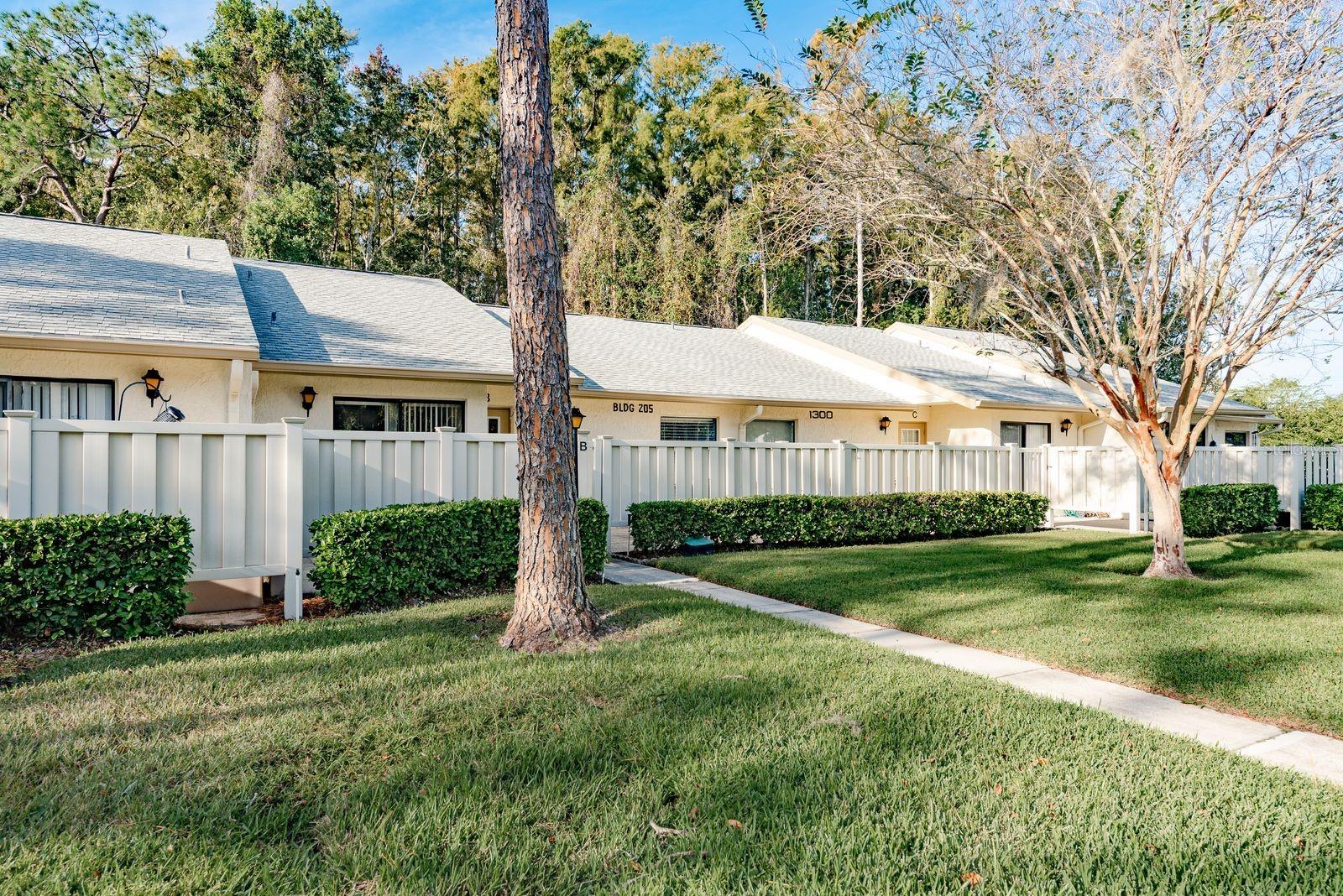 PINE RIDGE AT LAKE TARPON VILLAGE - Residential