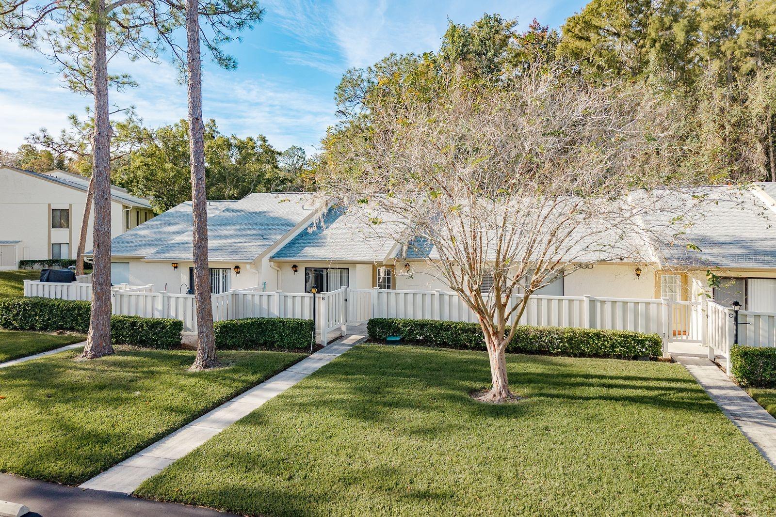 PINE RIDGE AT LAKE TARPON VILLAGE - Residential