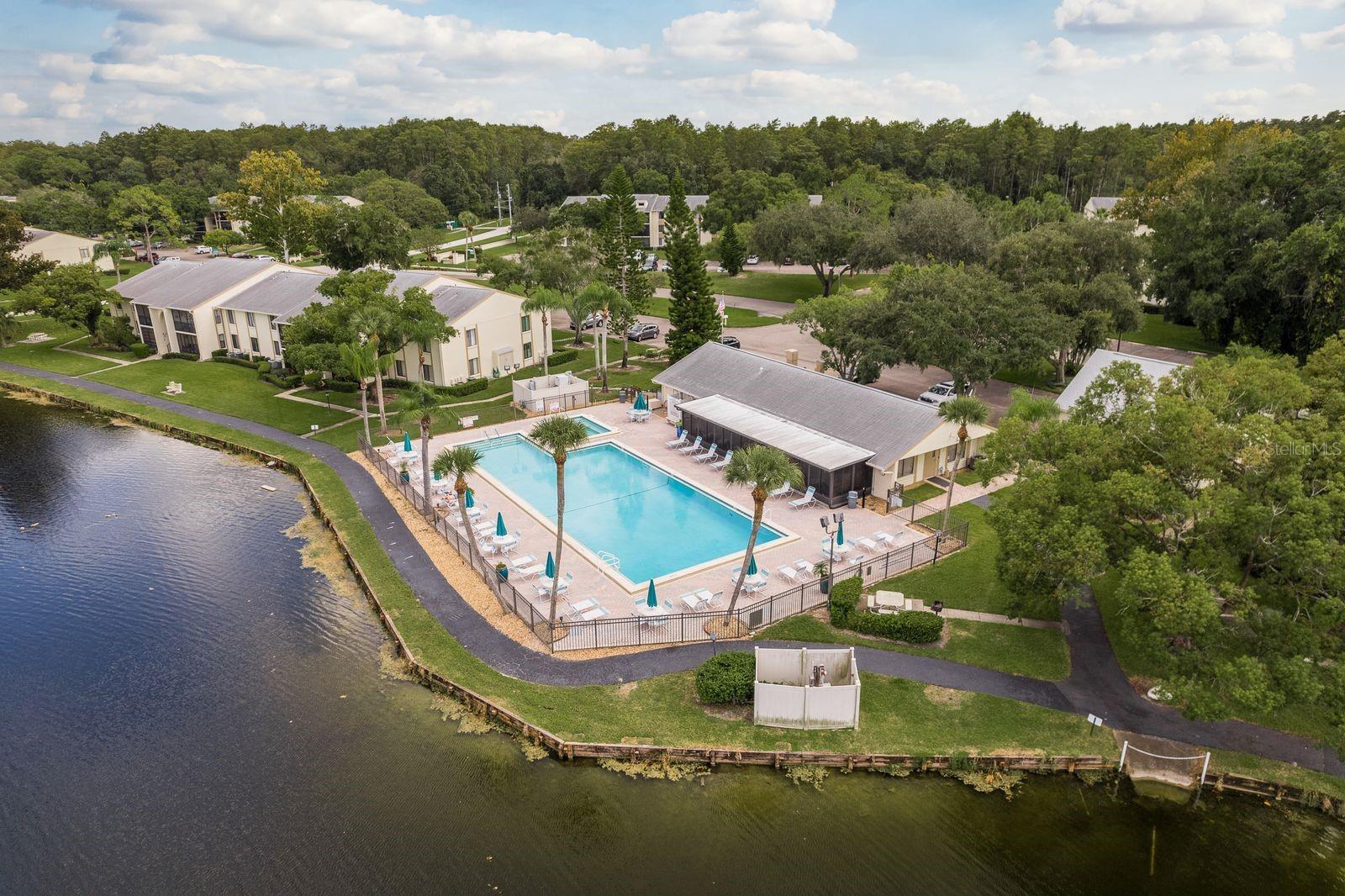 PINE RIDGE AT LAKE TARPON VILLAGE - Residential