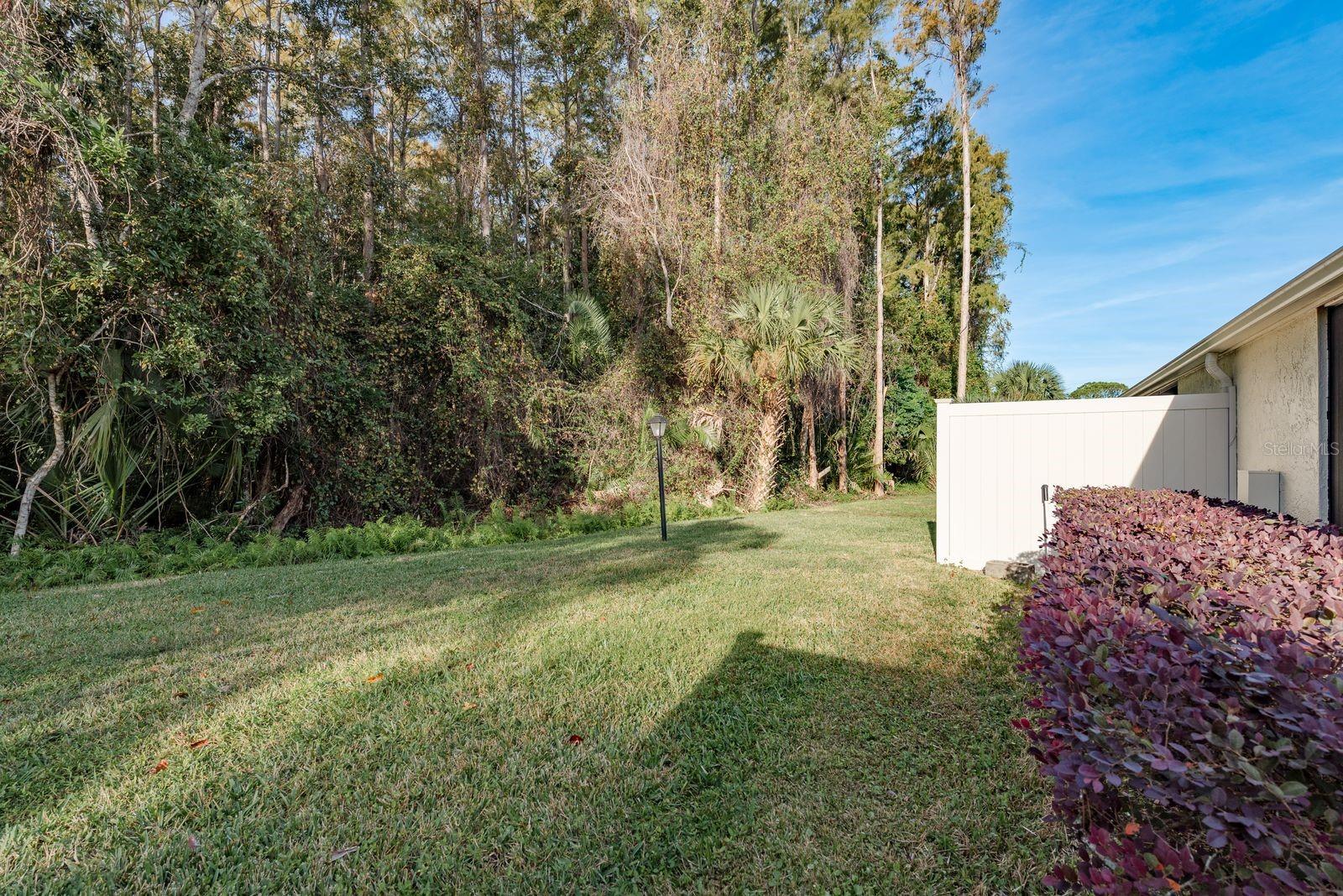 PINE RIDGE AT LAKE TARPON VILLAGE - Residential