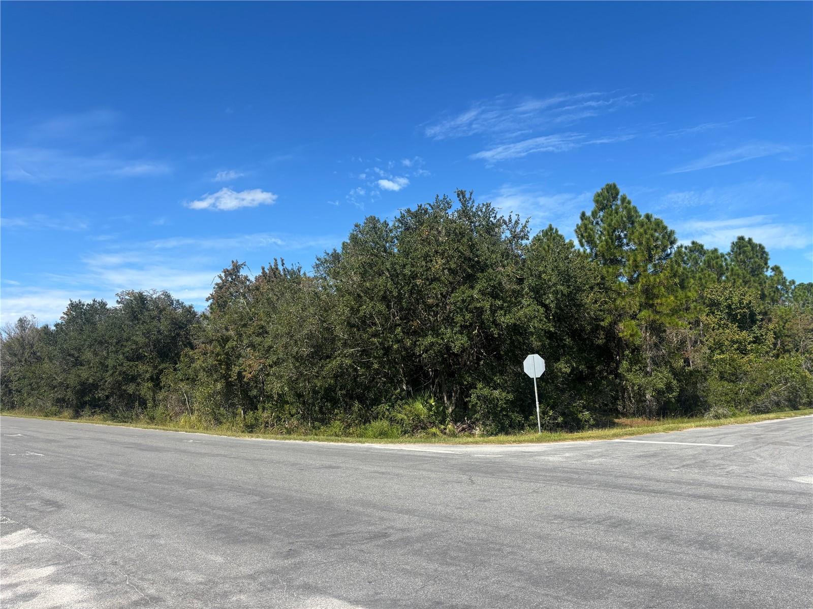 CAPE ORLANDO ESTATES - Land