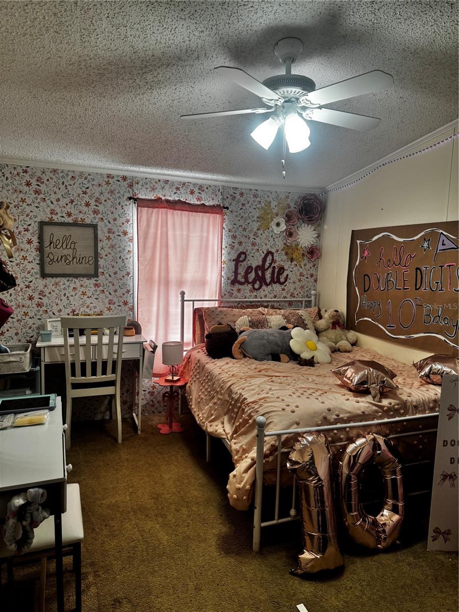 264 N LAKE PATRICK ROAD