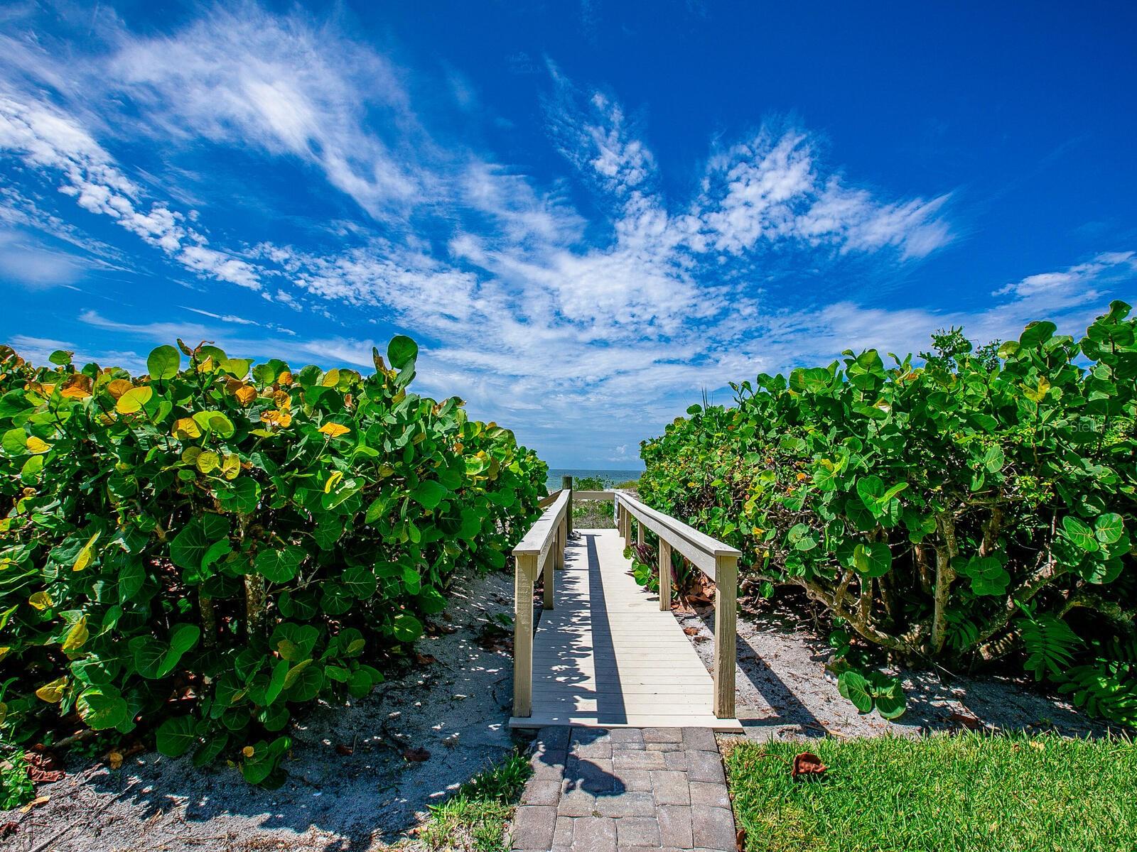 VEINTE - Residential