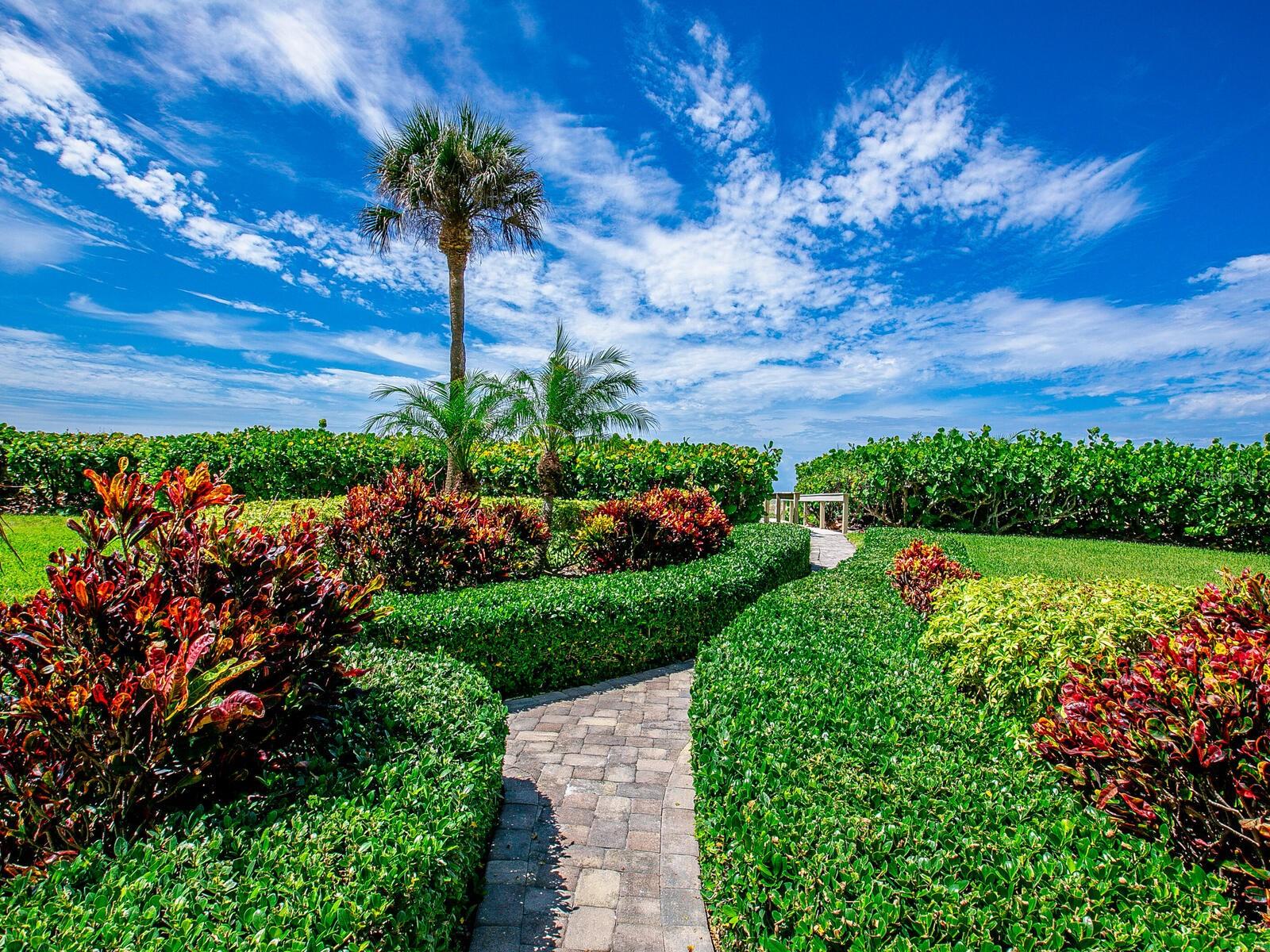 VEINTE - Residential