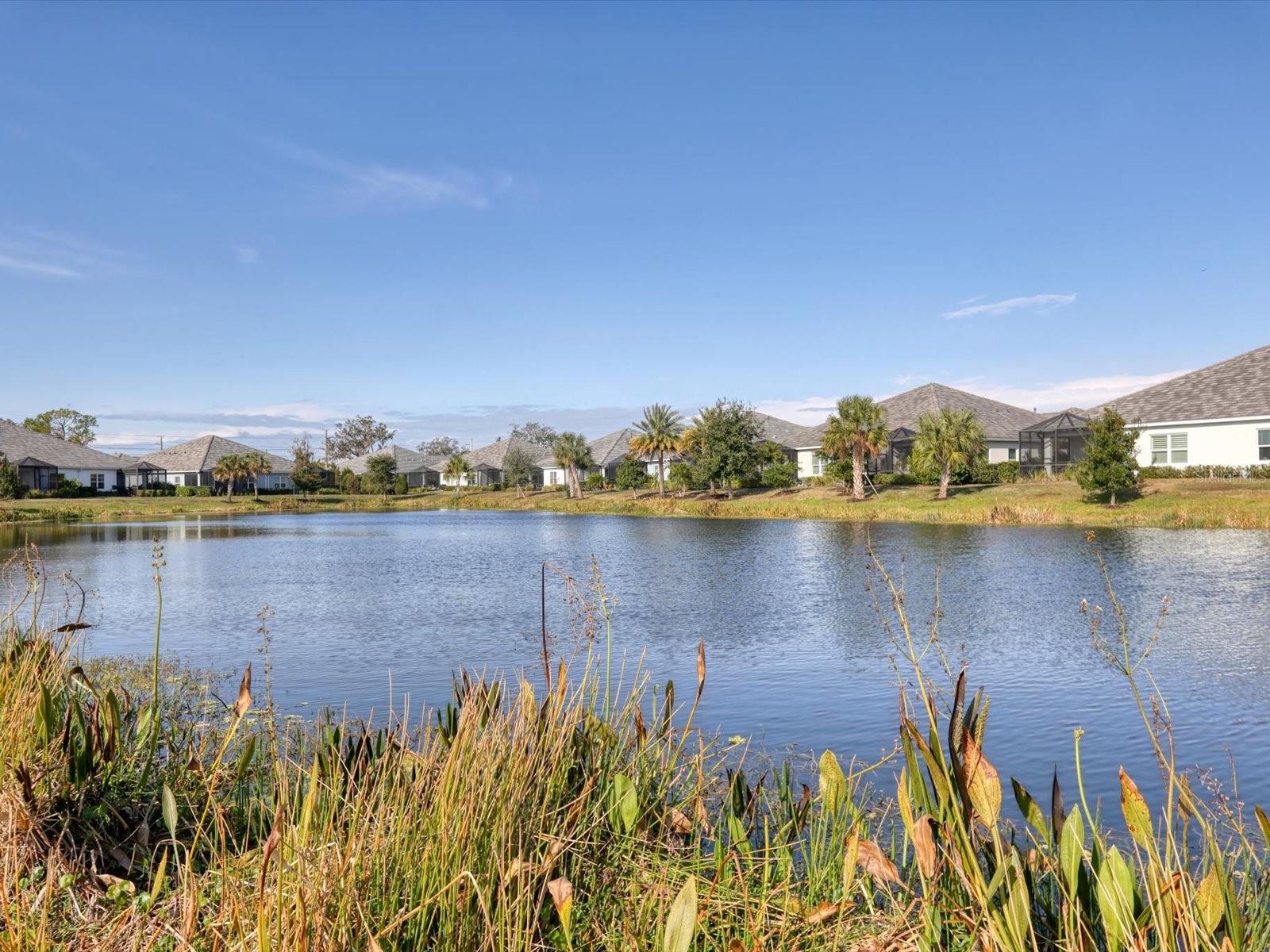 WINDWARD/LAKEWOOD RANCH PH 1 - Residential