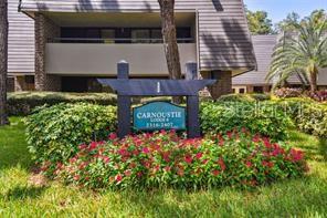 Fully furnished 1 bedroom 1 bathroom 2nd floor condo with a view of the Island Course #18. Luxury vinyl flooring throughout. Newer furniture, with a comfy king size bed. Electronic fireplace and tv's included. Residents have the option to join Innisbrooks award winning club and have exclusive use to all the amenities. Including with membership, 4 golf courses, tennis courts, pickleball court, work out facility, spa, and restaurants.