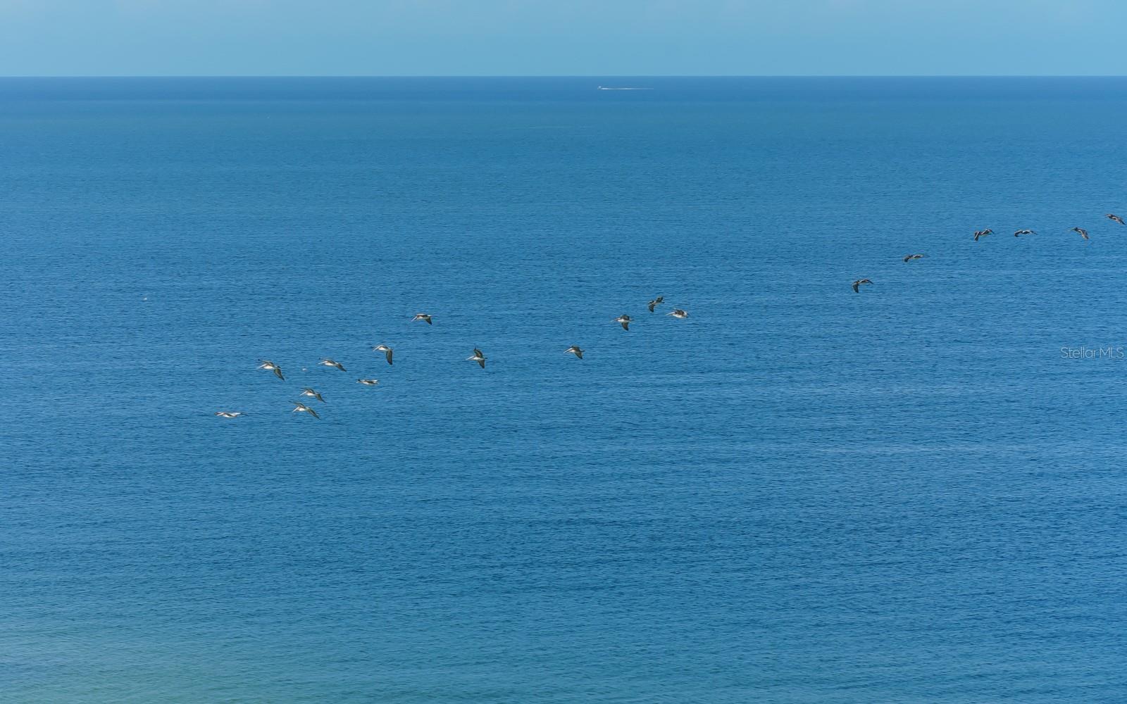 L ELEGANCE ON LIDO BEACH - Residential Lease