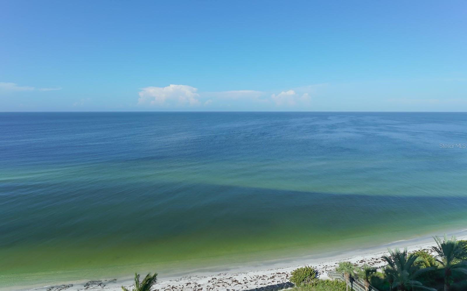 L ELEGANCE ON LIDO BEACH - Residential Lease