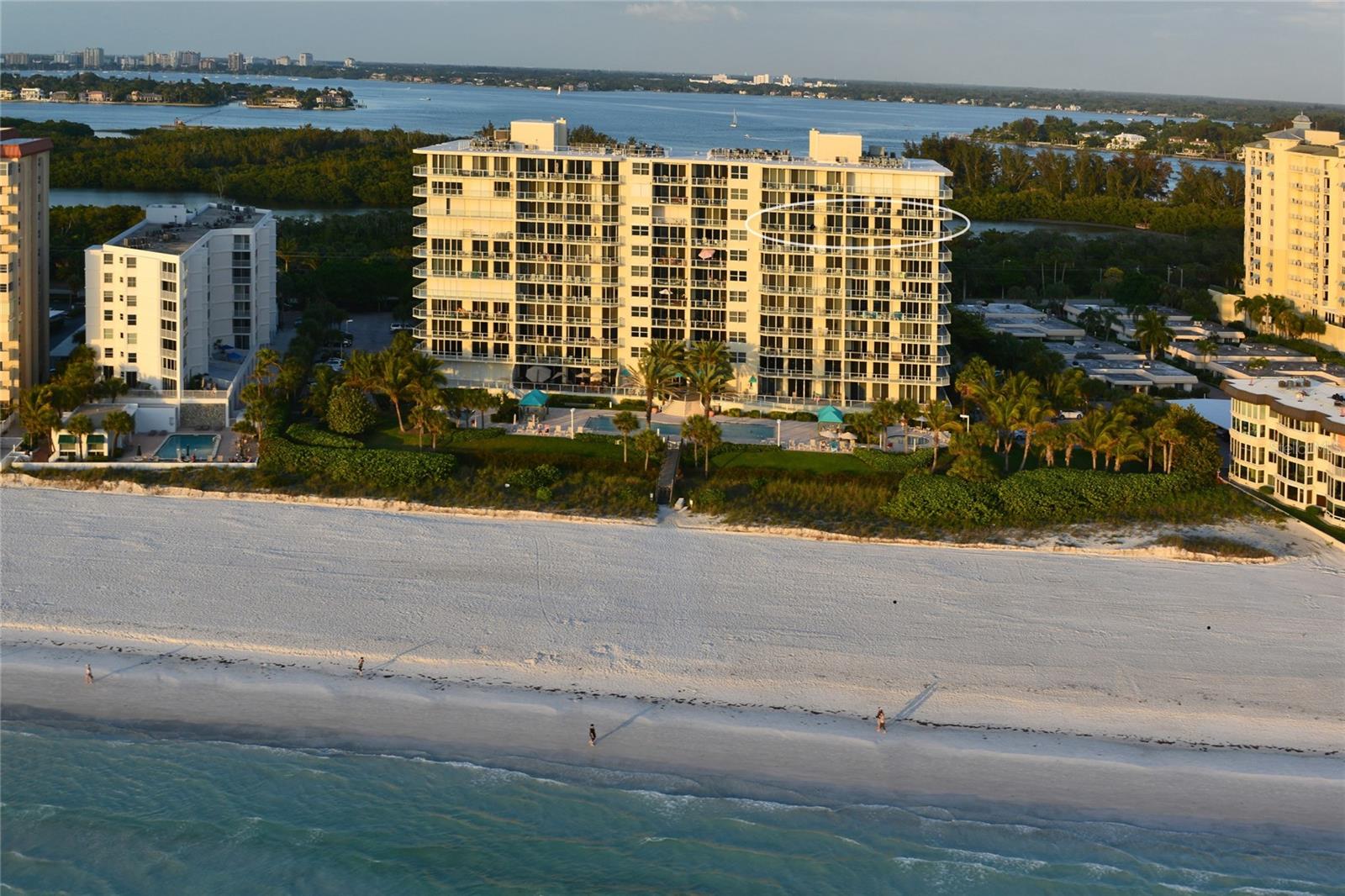 L ELEGANCE ON LIDO BEACH - Residential Lease