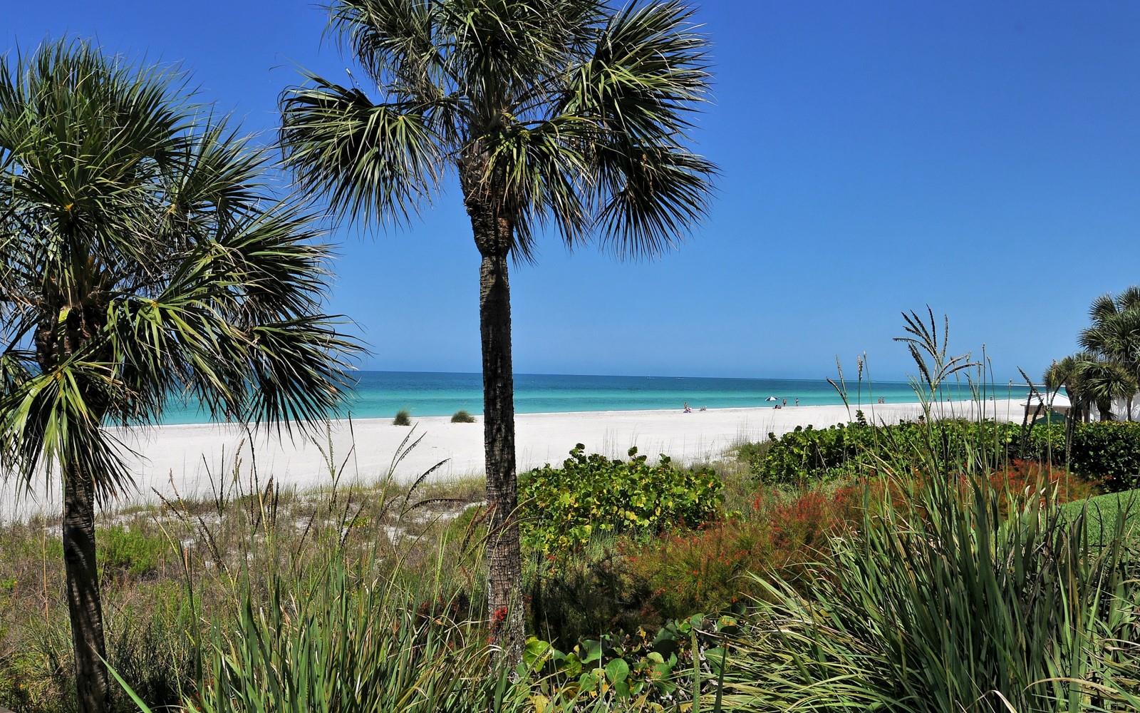 L ELEGANCE ON LIDO BEACH - Residential Lease