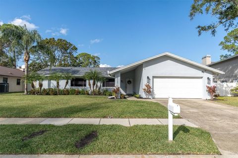 A home in CLEARWATER