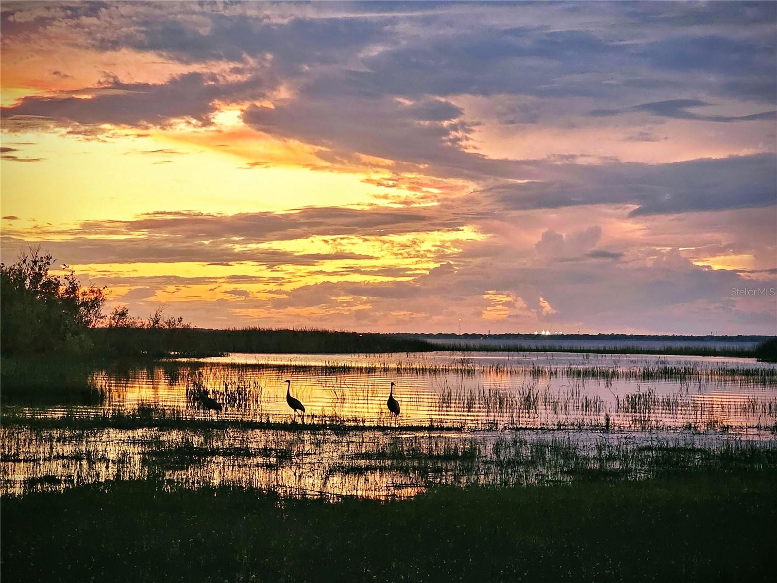 EAST LAKE RESERVE AT NARCOOSSEE UNIT 3 - Land