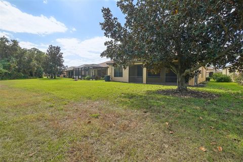 A home in APOLLO BEACH