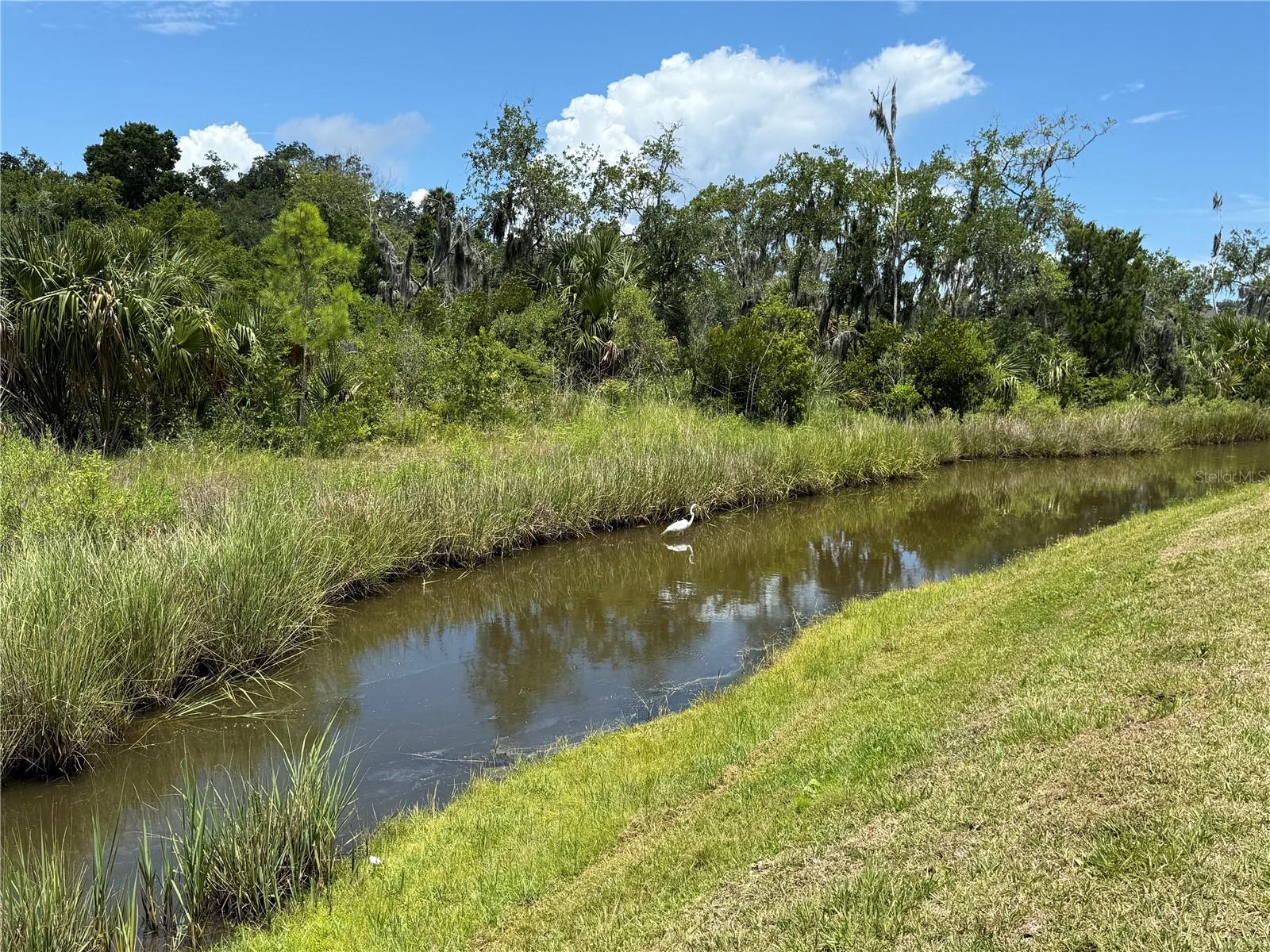 PRESERVE/ATLANTIC BEACH - Residential