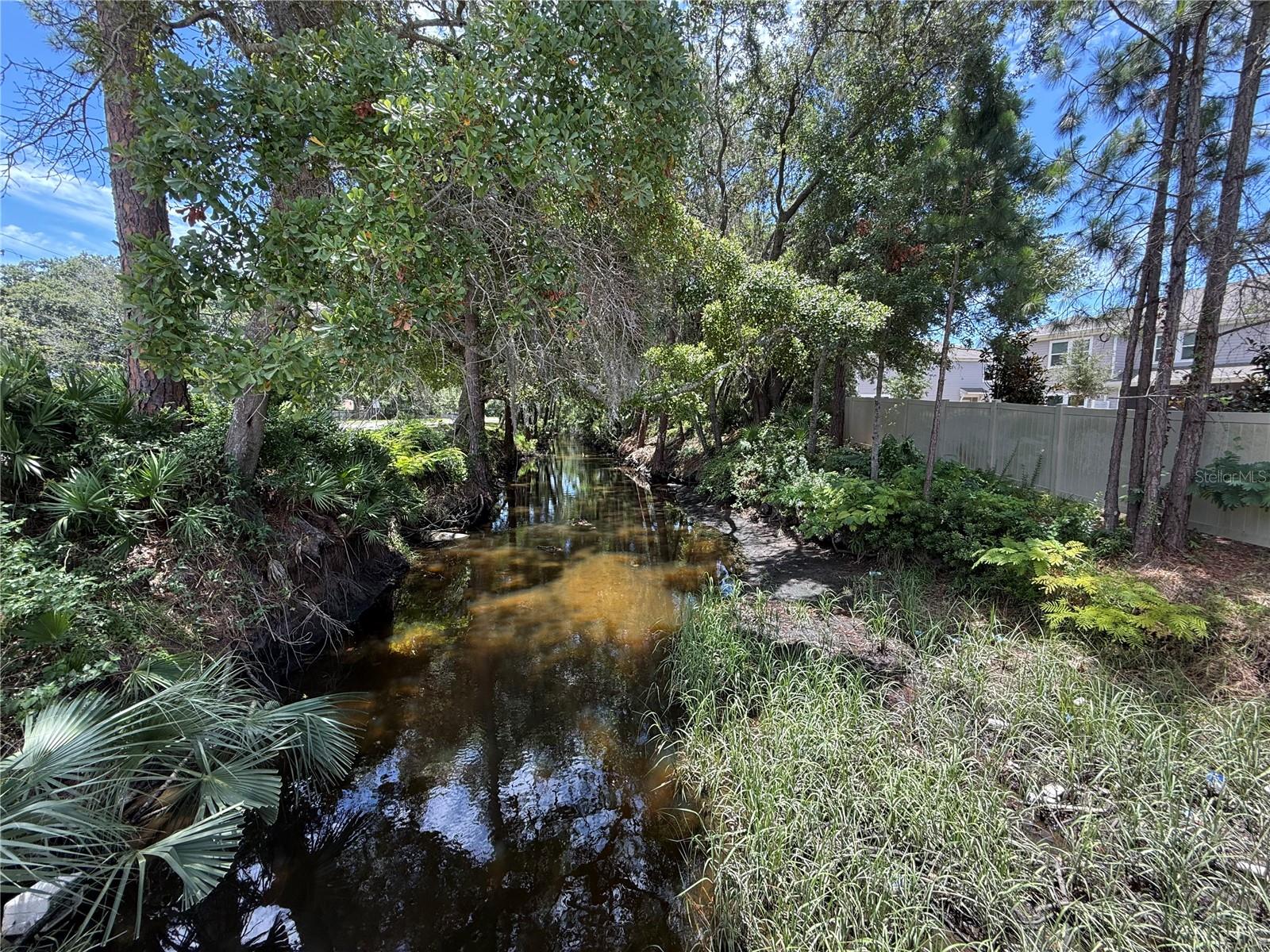 PRESERVE/ATLANTIC BEACH - Residential