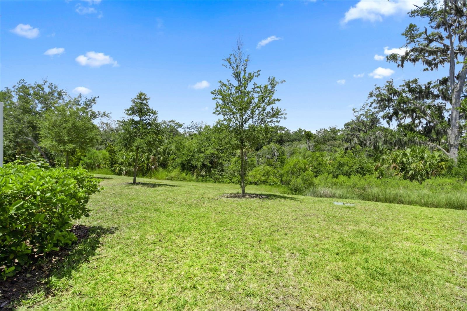 PRESERVE/ATLANTIC BEACH - Residential