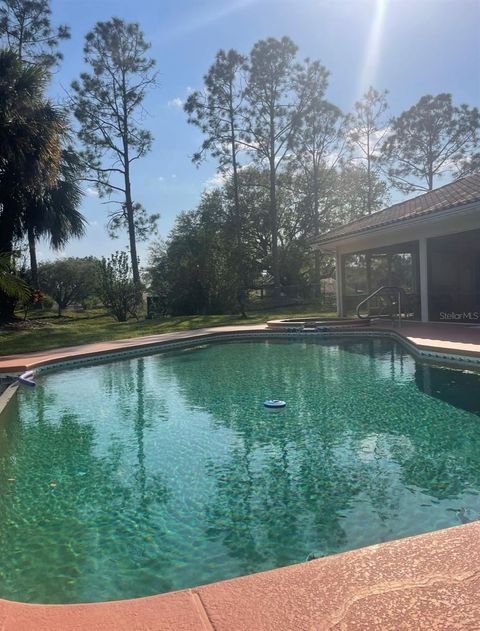 Tiny photo for 12624 Lake Denise Boulevard, Clermont, FL 34711 (MLS # O6196850)