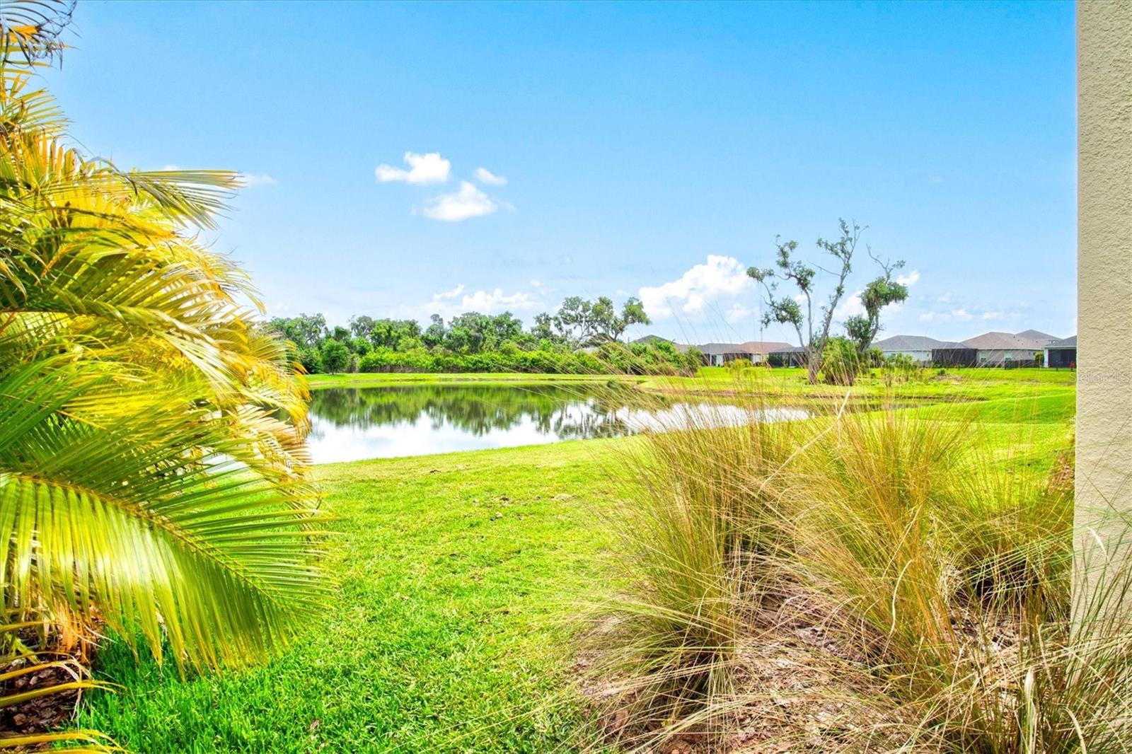 SILVERLEAF PH IV - Residential