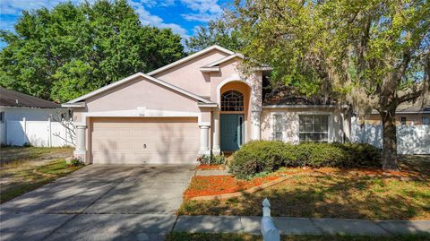 A home in VALRICO