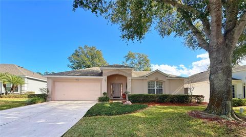 Photo of 4207 Kingsley Street, Clermont, FL 34711 (MLS # G5107108)
