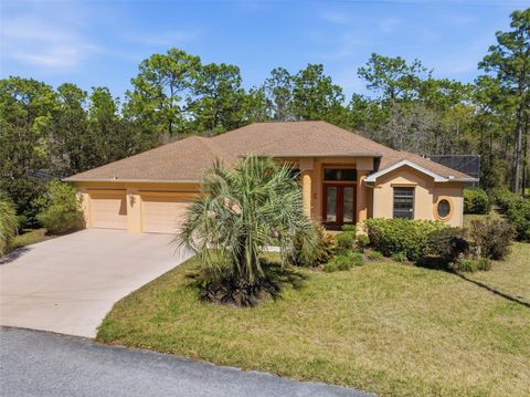 Tiny photo for 21 Whitewood Court, Homosassa, FL 34446 (MLS # W7883798)