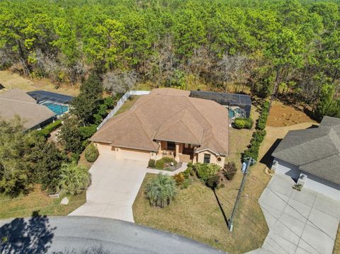 Tiny photo for 21 Whitewood Court, Homosassa, FL 34446 (MLS # W7883798)