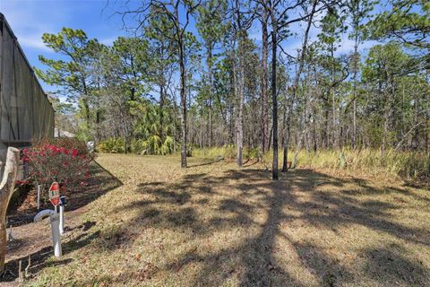 Tiny photo for 21 Whitewood Court, Homosassa, FL 34446 (MLS # W7883798)