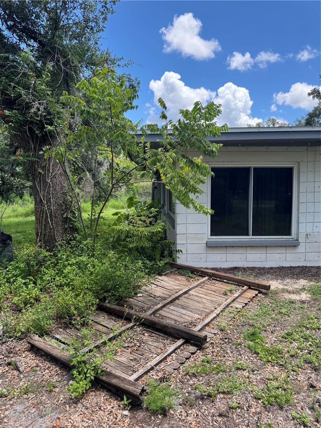 Photo of 34767 Evergreen Way, Ridge Manor, FL 33523 (MLS # W7876843)