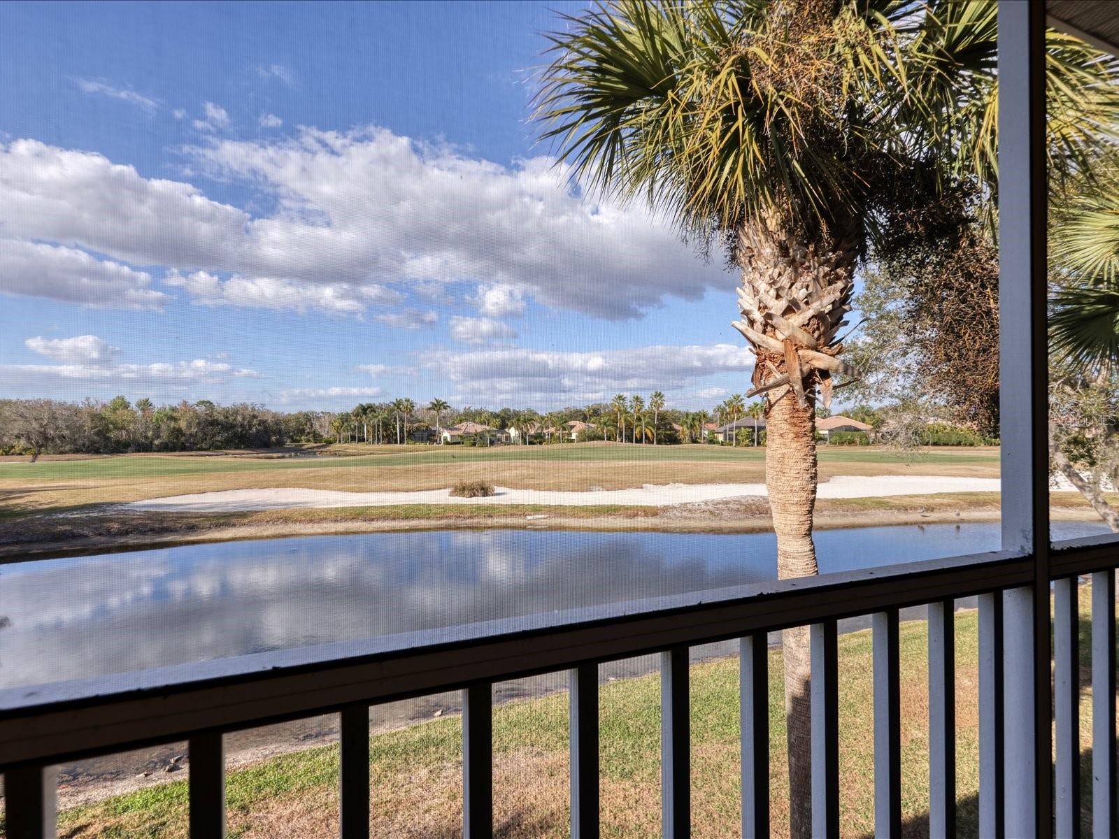 7139 BOCA GROVE PLACE 202