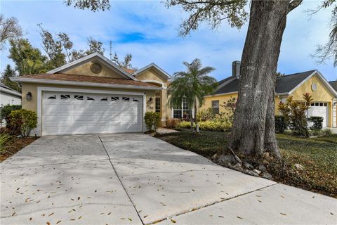 Photo of 156 Tall Trees Court, Sarasota, FL 34232 (MLS # TB8482194)
