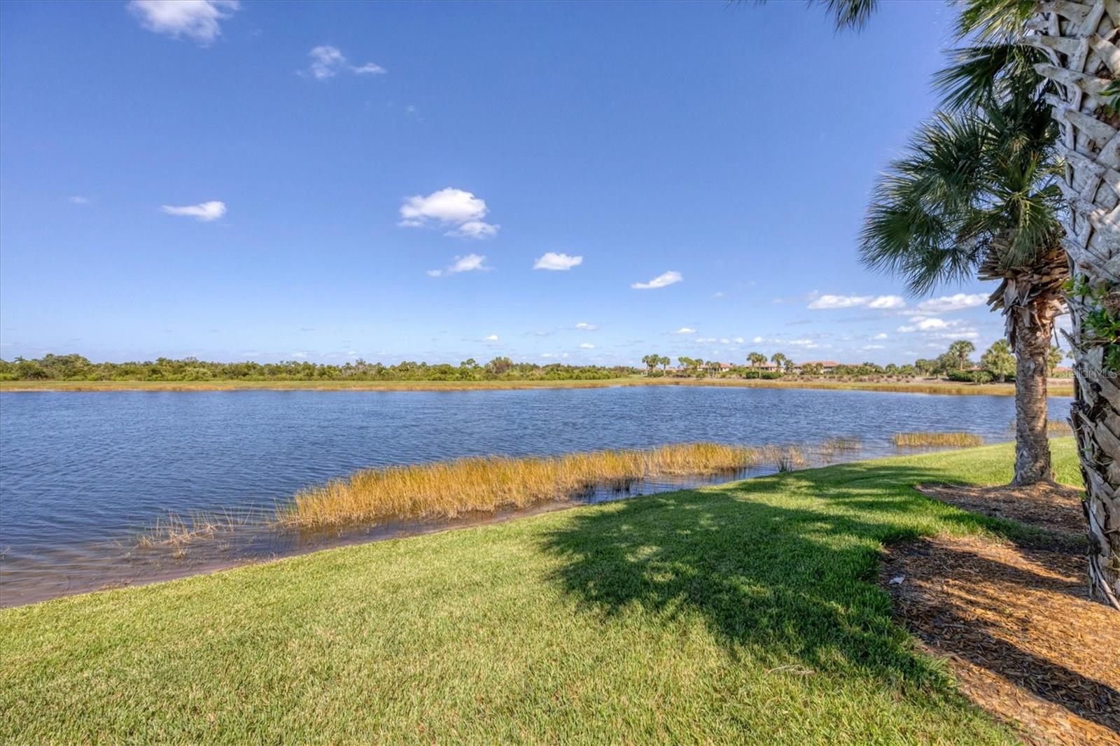 SARASOTA NATIONAL PH 1B - Residential