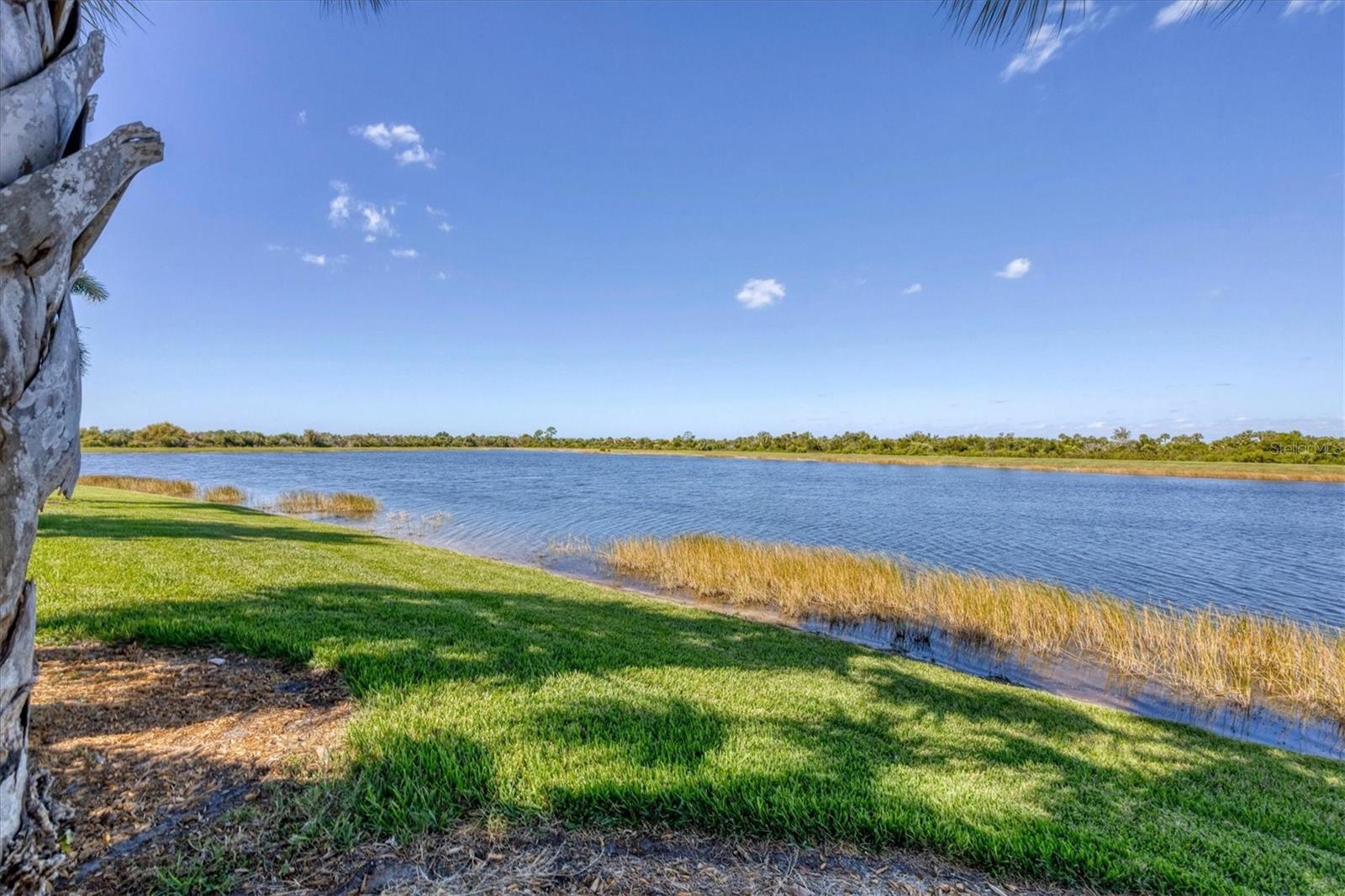 SARASOTA NATIONAL PH 1B - Residential
