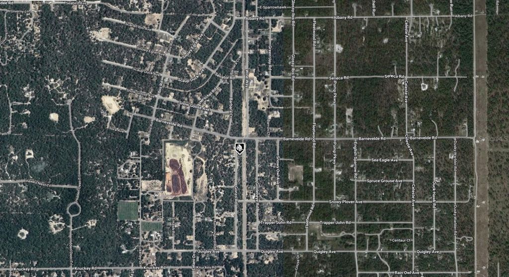Photo of 15176 Gonzo Road, Brooksville, FL 34614 (MLS # A4668072)