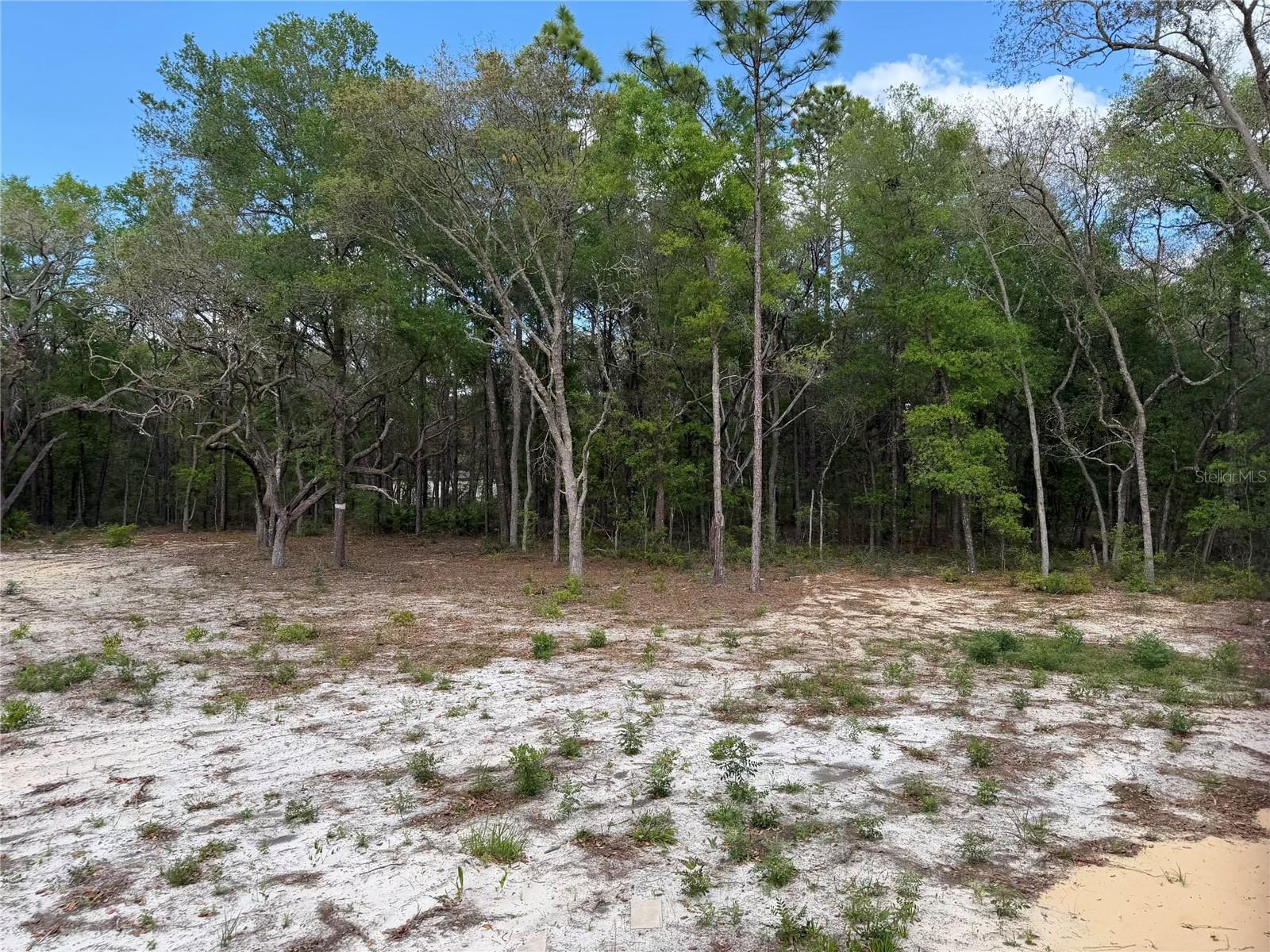 UNIVERSITY ESTATES - Residential