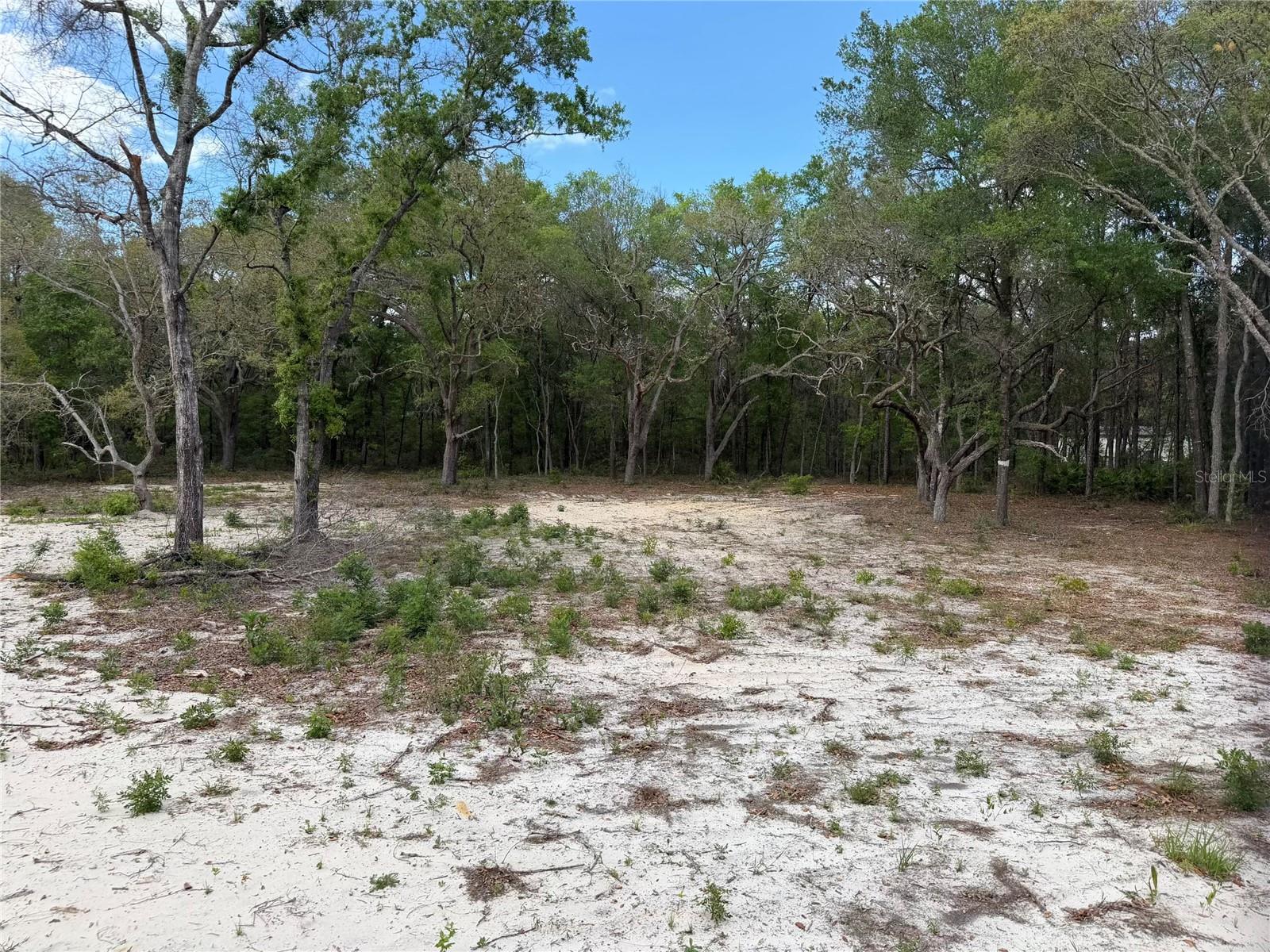 UNIVERSITY ESTATES - Residential