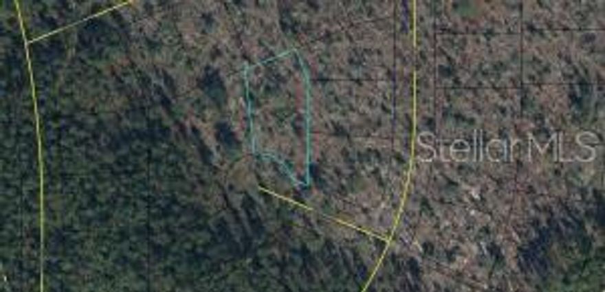 Vacant residential built lot located south of the city center of Chipley, Florida in the Sunny Hills Subdivision. The golf course is located less than 1/2 mile from the subject property. Quite rural surrounding you can be a piece with nature building the home of your dreams.