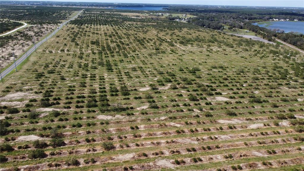 Photo of 3162 Power Line Road, Avon Park, FL 33825 (MLS # TB8500013)